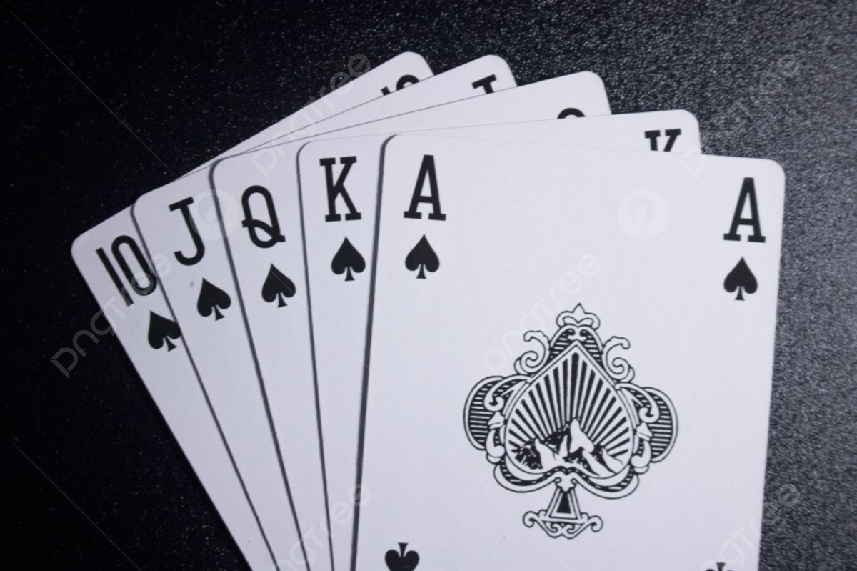 Vaycasino Giriş Adresi ve Alternatif Yollar Rehberi